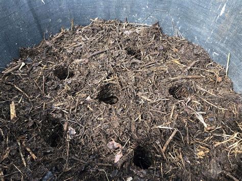 Image result for Johnson Su Bioreactor Composting System