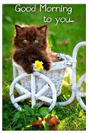 Image result for Good Morning Cute Pics