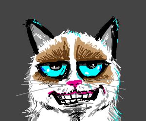 Image result for Grumpy Cat Smiling