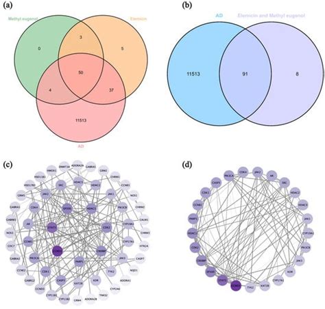 The Therapeutic Potential of Dalbergia pinnata (Lour.) Prain Essential ...