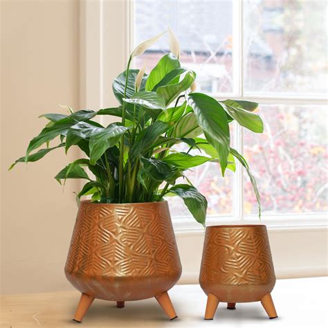 ecofynd Pack of 2 Hazel Metal Planter Pot with Stand, Modern Style ...