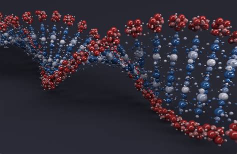 DNA Codon 的图像结果