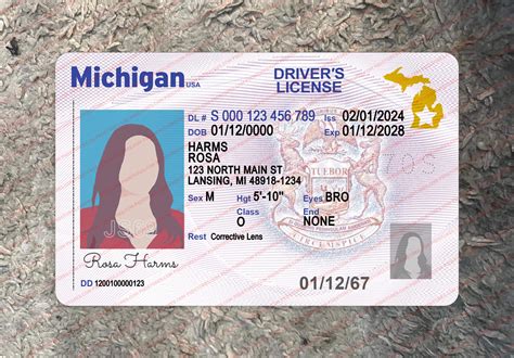 Michigan Driver License Template (V2) - PSD Stores