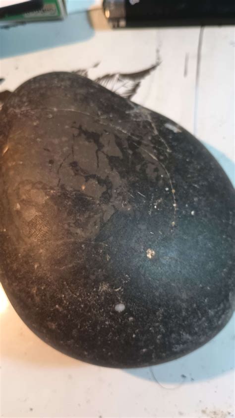 Very heavy black rock I found while walking on Lake Ontario. There are a few chunks of white ...