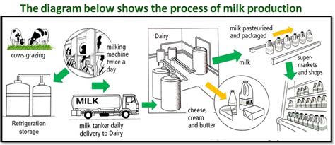 Image result for How Is Milk Processed Step by Step
