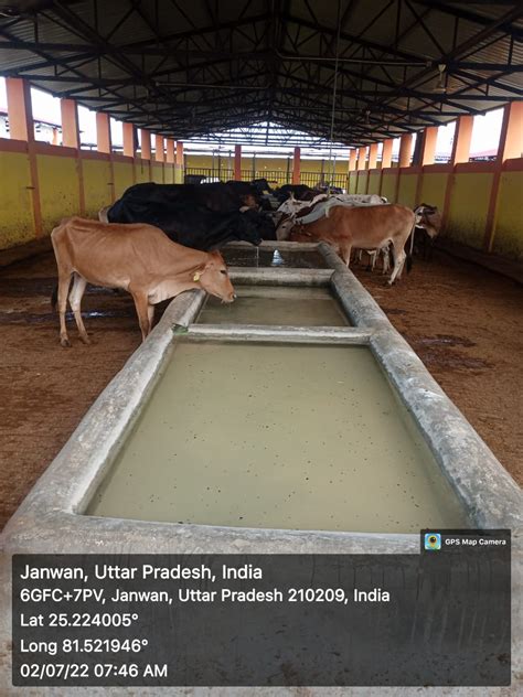 Kanha Gaushala, Uttar Pradesh