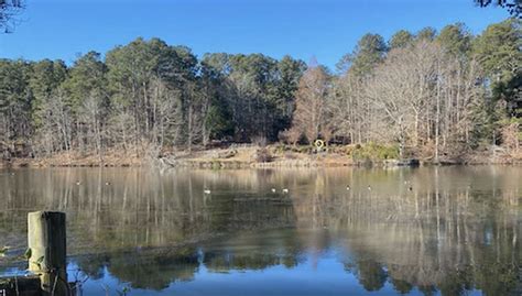 Sims Lake Park | Family-Friendly Nature - ZuzuForKids