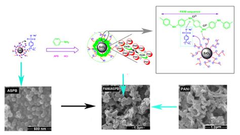 Polyaniline-Doped Spherical Polyelectrolyte Brush Nanocomposites with ...
