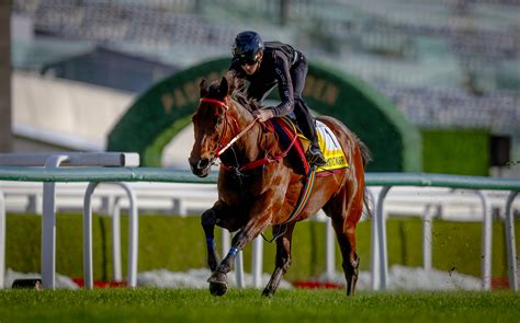 Romantic Warrior primed for G1 Dubai Turf after final fast work at ...