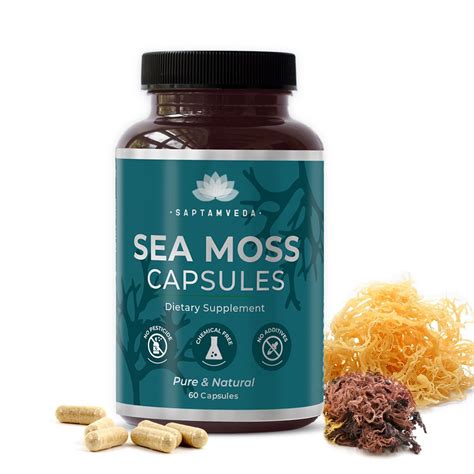 Buy Saptamveda Irish Sea Moss 500MG 60 Capsules (Pack of 1) With ...