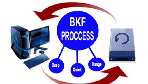 Open BKF File 的图像结果