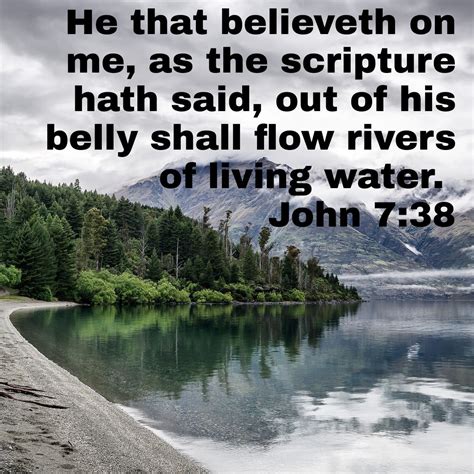 Image result for LDS Scriptures