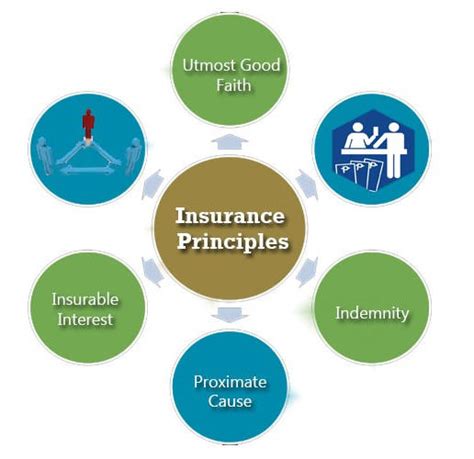 Image result for Principles of Insurance