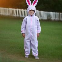 Image result for Gray Bunny Costume