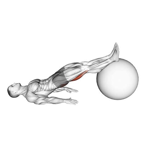 Leg Curl Alternative