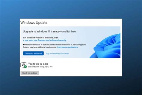 Image result for Windows 11 Metered Connection