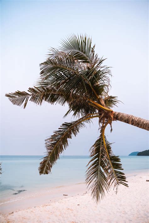 10 Tips for Phu Quoc, The Most Beautiful Island in Vietnam