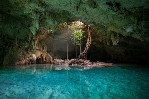 Sac actun cenote in tulum mexico with tree roots climbing down to the ...