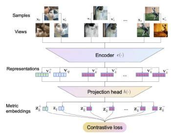 Image result for Contrastive Feature Learning