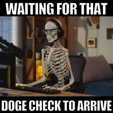 Best Doge Check Memes On Elon's Proposed $5,000 Dividend