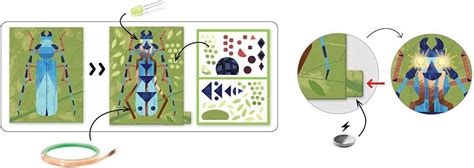 Buy DJECO Imágenes para iluminar Images to Illuminate Insectarium ...