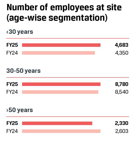 JSW Steel Integrated Report 2024-25