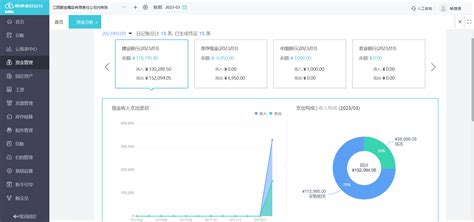 财务系统定制对于提升企业效益的重要性-财务系统定制-析客ERP