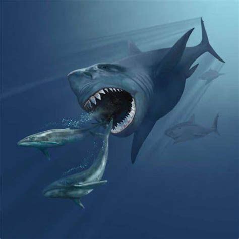 巨齿鲨惊艳来袭，《侏罗纪》里的沧龙能否保证霸主地位？ - 每日头条