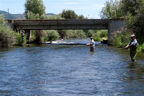 Weber River Fishing Report - Ogden, Utah