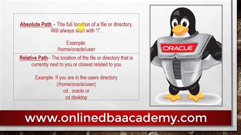 Image result for File Pathway