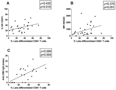 The Impact of Cytomegalovirus Infection on Natural Killer and CD8+ T ...