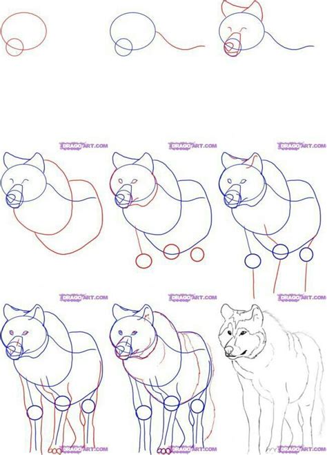 Image result for wolves drawing tutorial