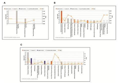 Integrated Proteomic and Phosphoproteomics Analysis of DKK3 Signaling ...