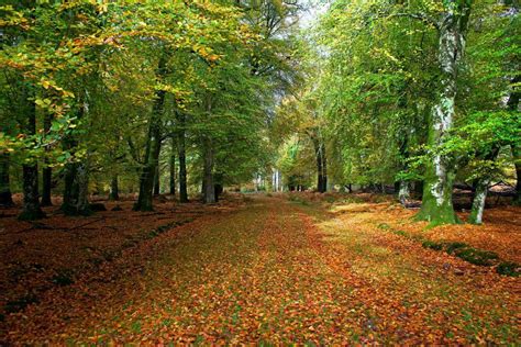Find The Best Places To Travel In Autumn According To Your Zodiac