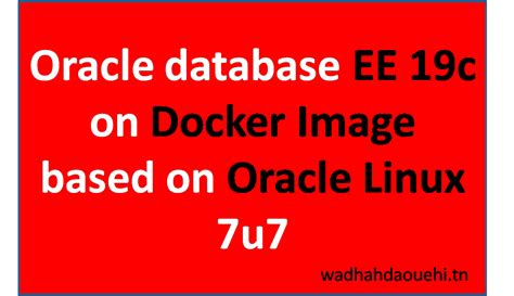 Linux 19C Docker Image 的图像结果