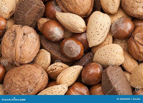 Various Kinds of Nuts in Shells. Stock Photo - Image of shells ...