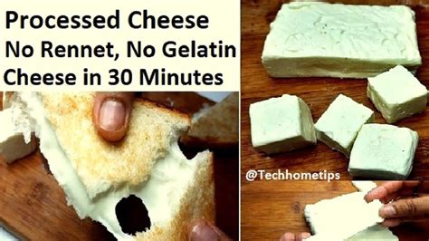 Image result for How to Make Processed Cheese