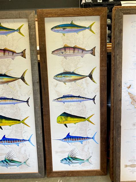 Fish Stack Cod 的图像结果