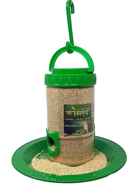 Amijivdaya Small Bird Feeder (Green, Transparent) : Amazon.in: Garden ...
