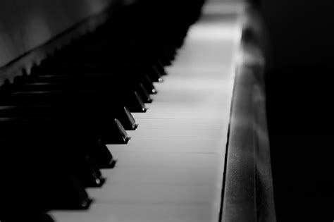 Piano Button Black White free image download