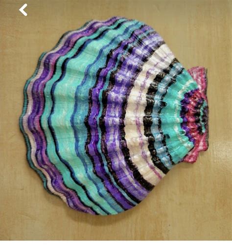 Image result for Painted Sea Shells