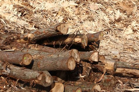 Packaging Machine 的图像结果