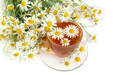 3 Natural Foods That Help You Sleep Better | FITPASS