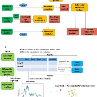 Ed's Work Flow Model 的图像结果