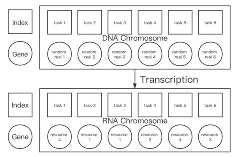 Bi-Objective Optimization for Industrial Robotics Workflow Resource ...