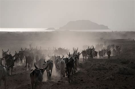 How I learned to grumble less | Condé Nast Traveller India | Insiders