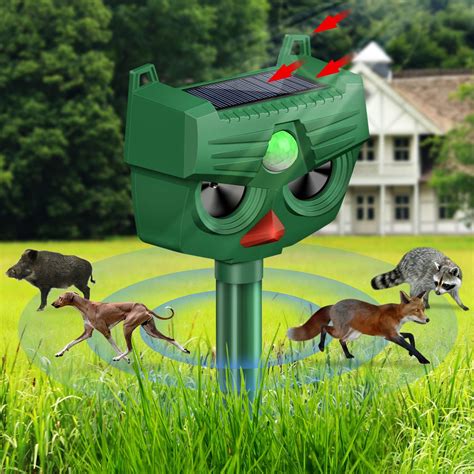 Amazon.com: 2 Pack Ultrasonic Animal Repeller Solar Powered Outdoor ...
