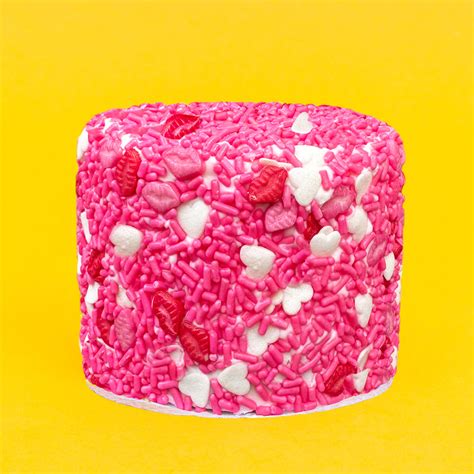 4" Chocolate Chocolate Chip Surprise Cake®