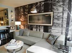 Houzz Modern Living Rooms by My Houzz Bachelor S Nyc Pad Contemporary Living Room Houzz Modern Living Rooms