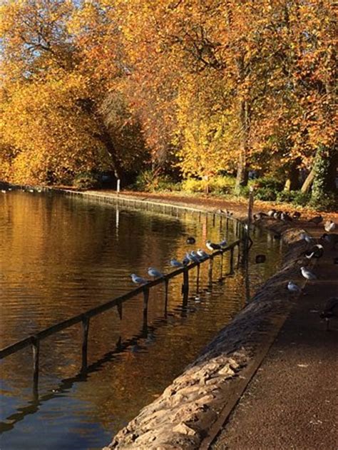 Wolverhampton Photos - Featured Images of Wolverhampton, West Midlands ...